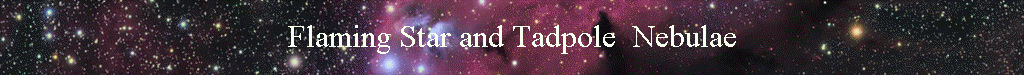 Flaming Star and Tadpole  Nebulae